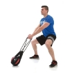 Poza cu Sac de rotatie, Medball sling, 2650, Sveltus