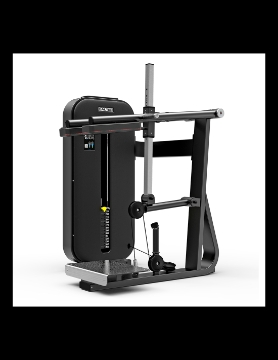 Poza cu SQUAT / STANDING CALF, M-2019  ESSENCE, SALTER