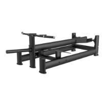 Poza cu Aparat ramat spate T-ARM, TheWay Fitness