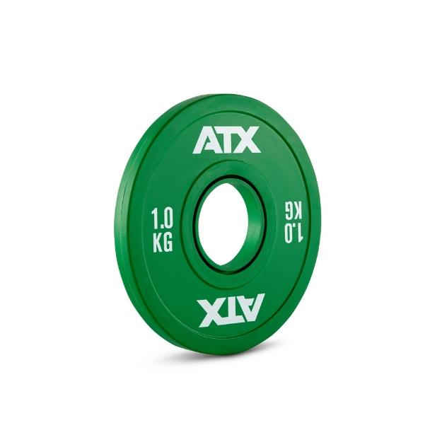 Poza cu Discuri Fractionale din Cauciuc 1.0 kg - 50 mm