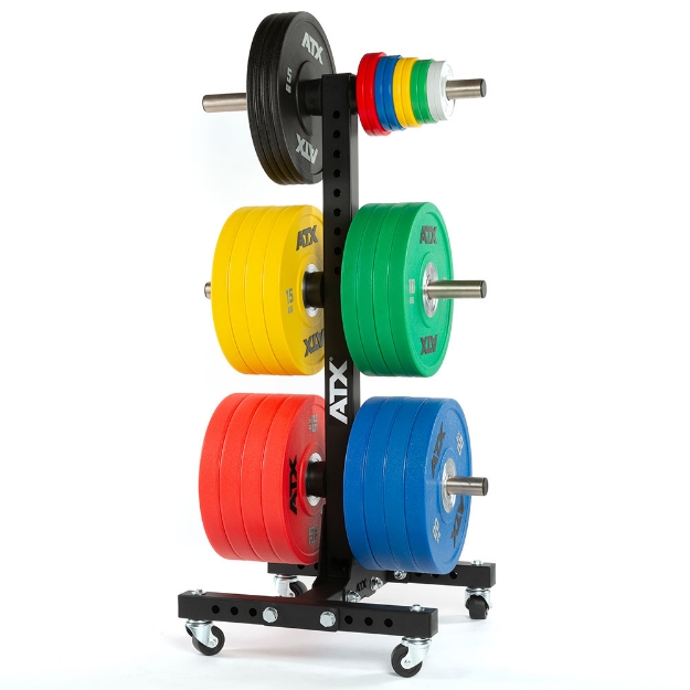 Poza cu ATX rollable Weight Plate Tree pentru discuri Ø 50 mm - Stativ mobil organizator Hantelscheiben ATX-WPT-3-ROL