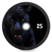 Poza cu DYO - Design Your Own - Plăci Bumper cu Design Complet 15 kg