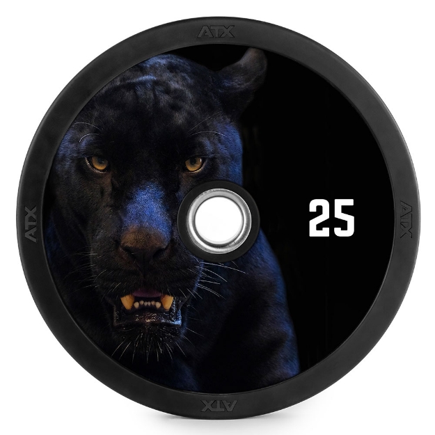 Poza cu DYO - Design Your Own - Plăci Bumper cu Design Complet 20 kg