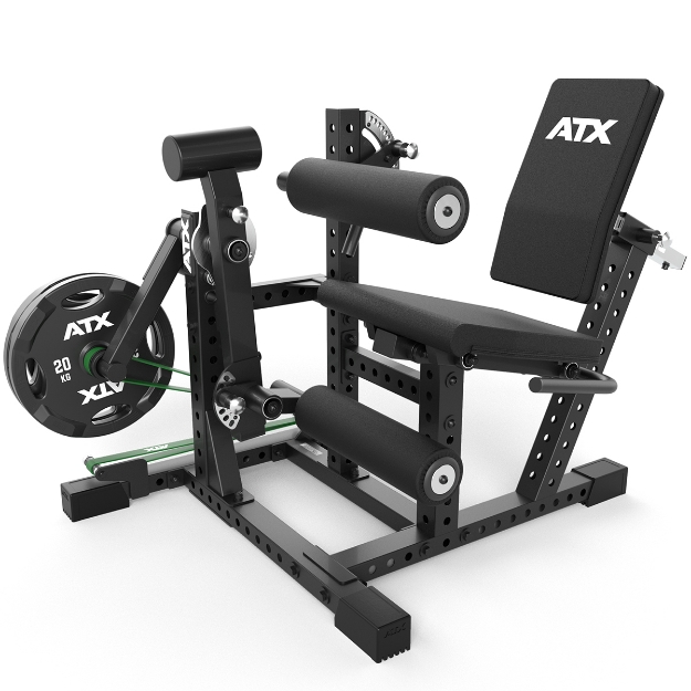 Poza cu ATX Beinstrecker și Beinfelxor - Șezut (Seated)