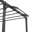 Poza cu ATX FUNCTIONAL RIG 700 - Ladder 2