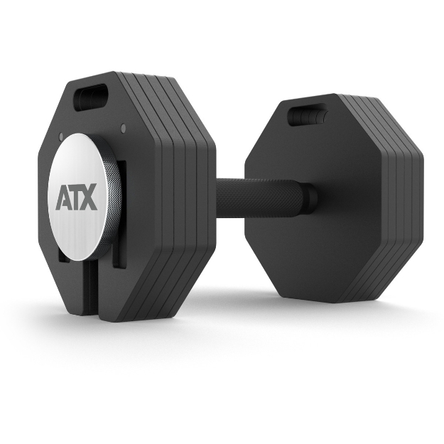 Poza cu ATX Octa Plăci de Greutate 2 x 2 kg